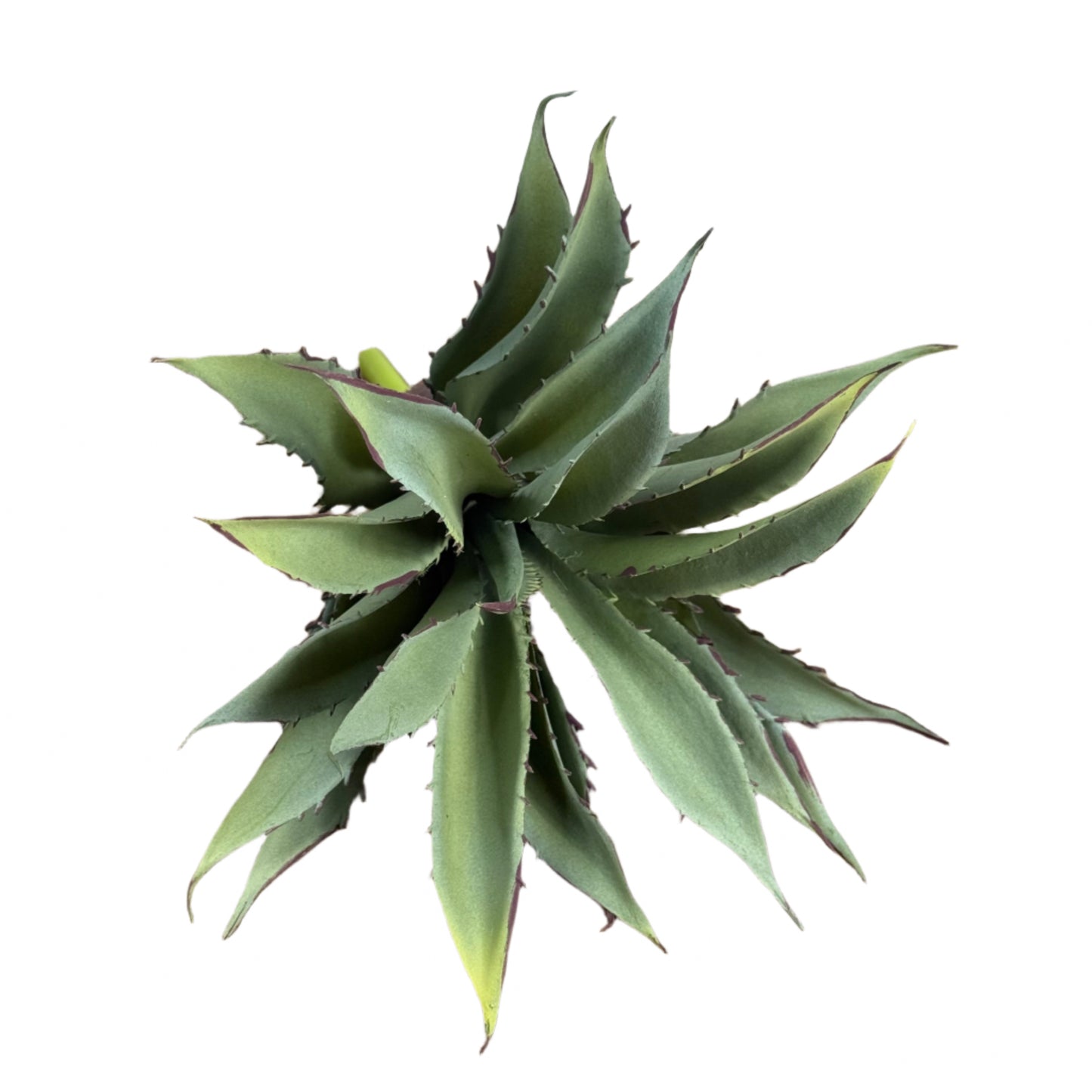 Light Green Succulent Pick