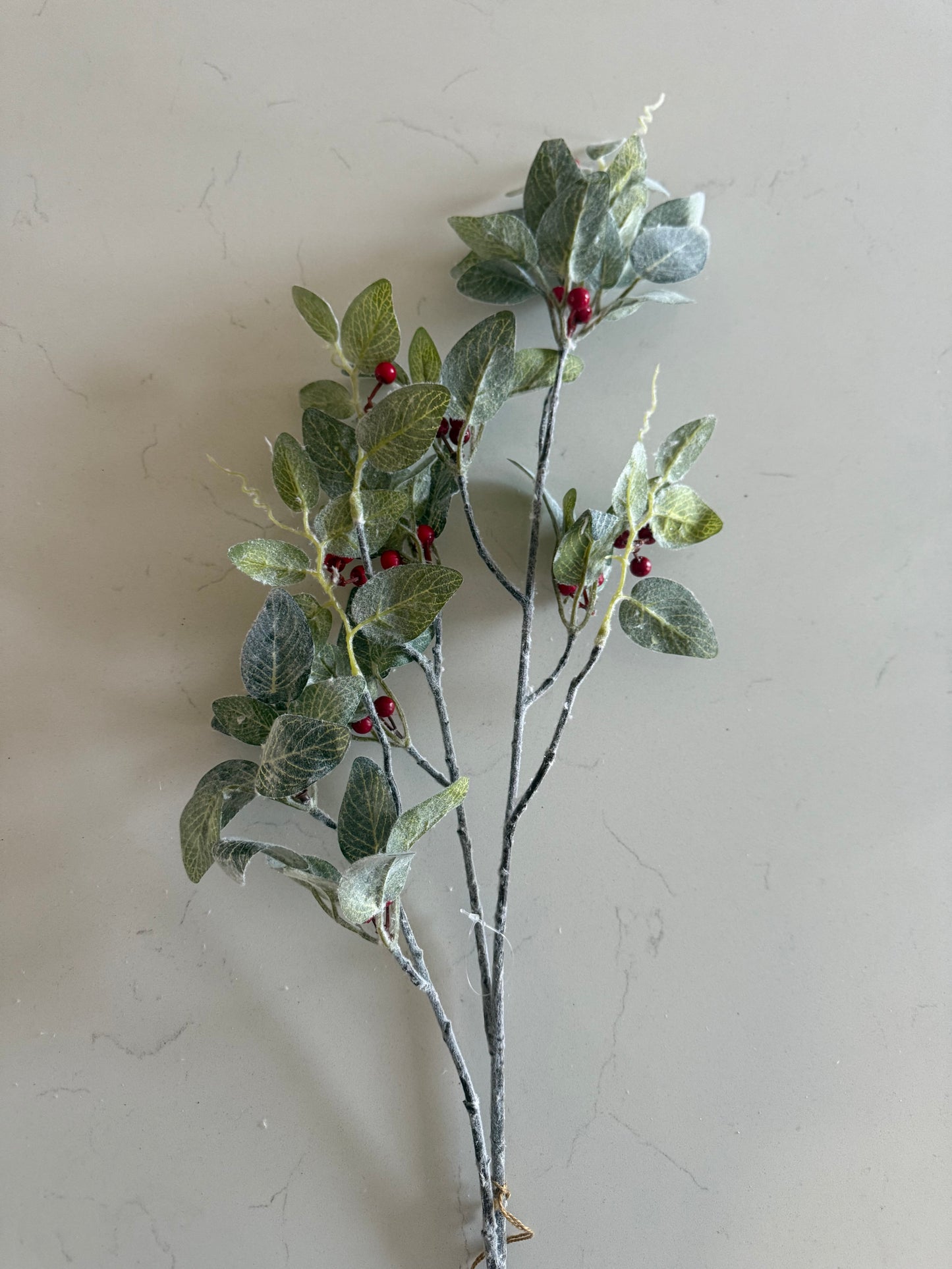 Flocked Stems -50% OFF