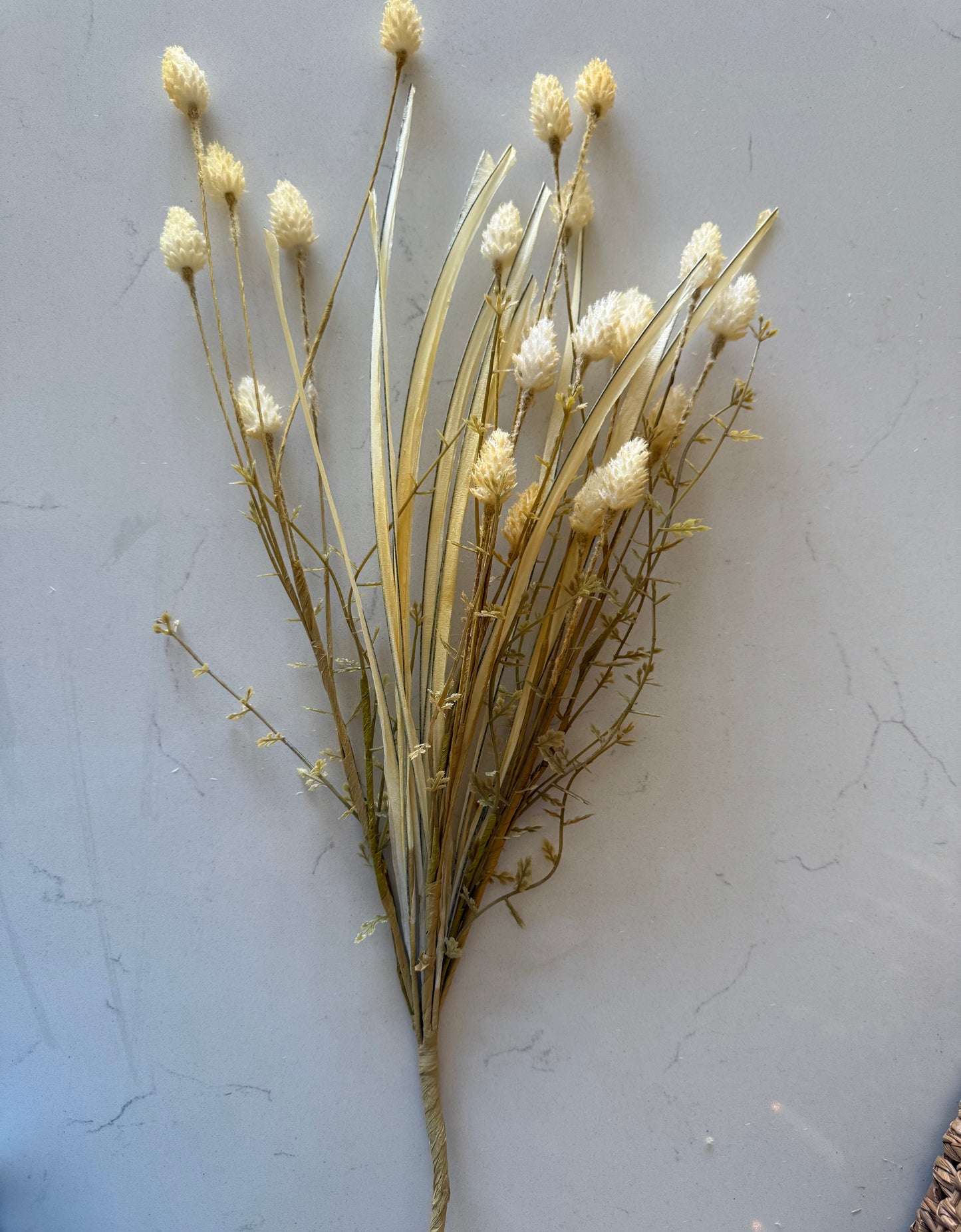 Flocked Thistle and Grass Stem