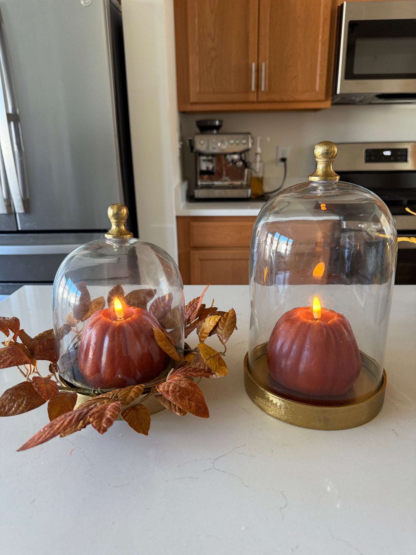 Glass Cloche with Gold Base -8”