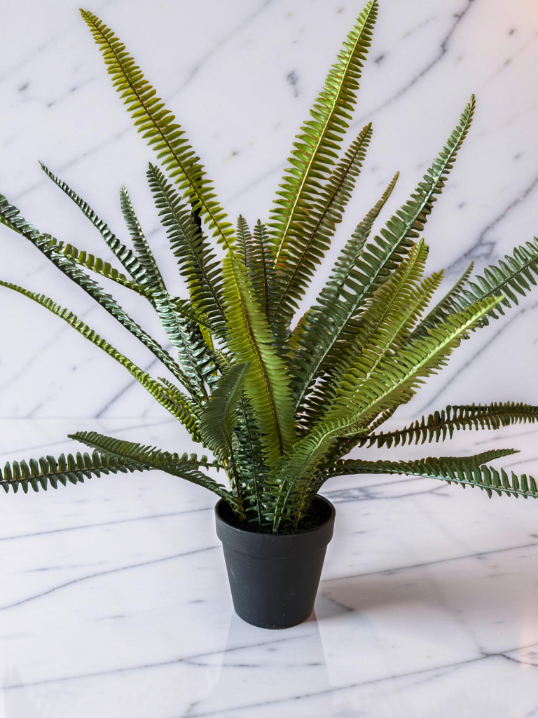 Quincy Fern Pot