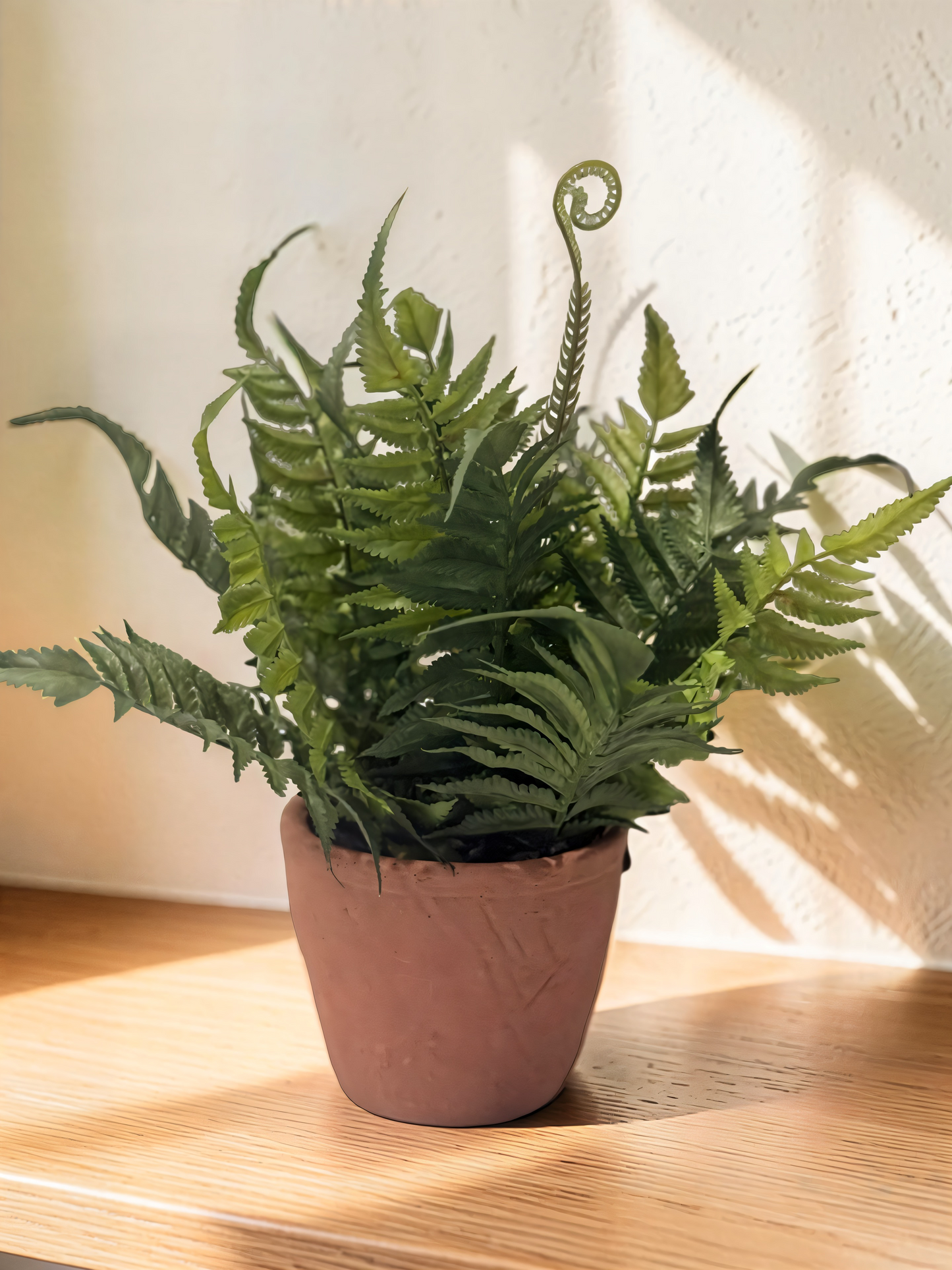 Fern in Cement Pot - 11.81''H