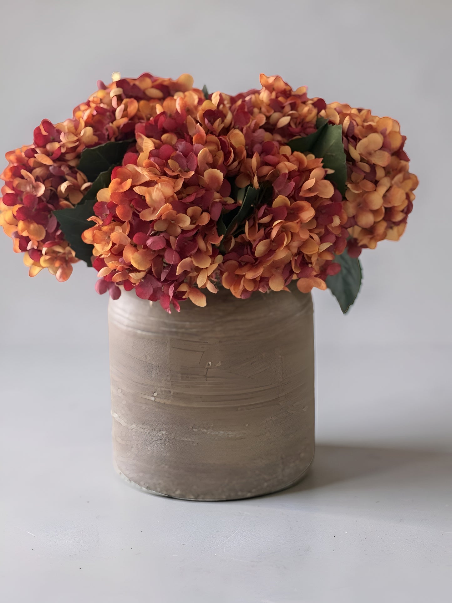 Two Tone Hydrangea Bundle