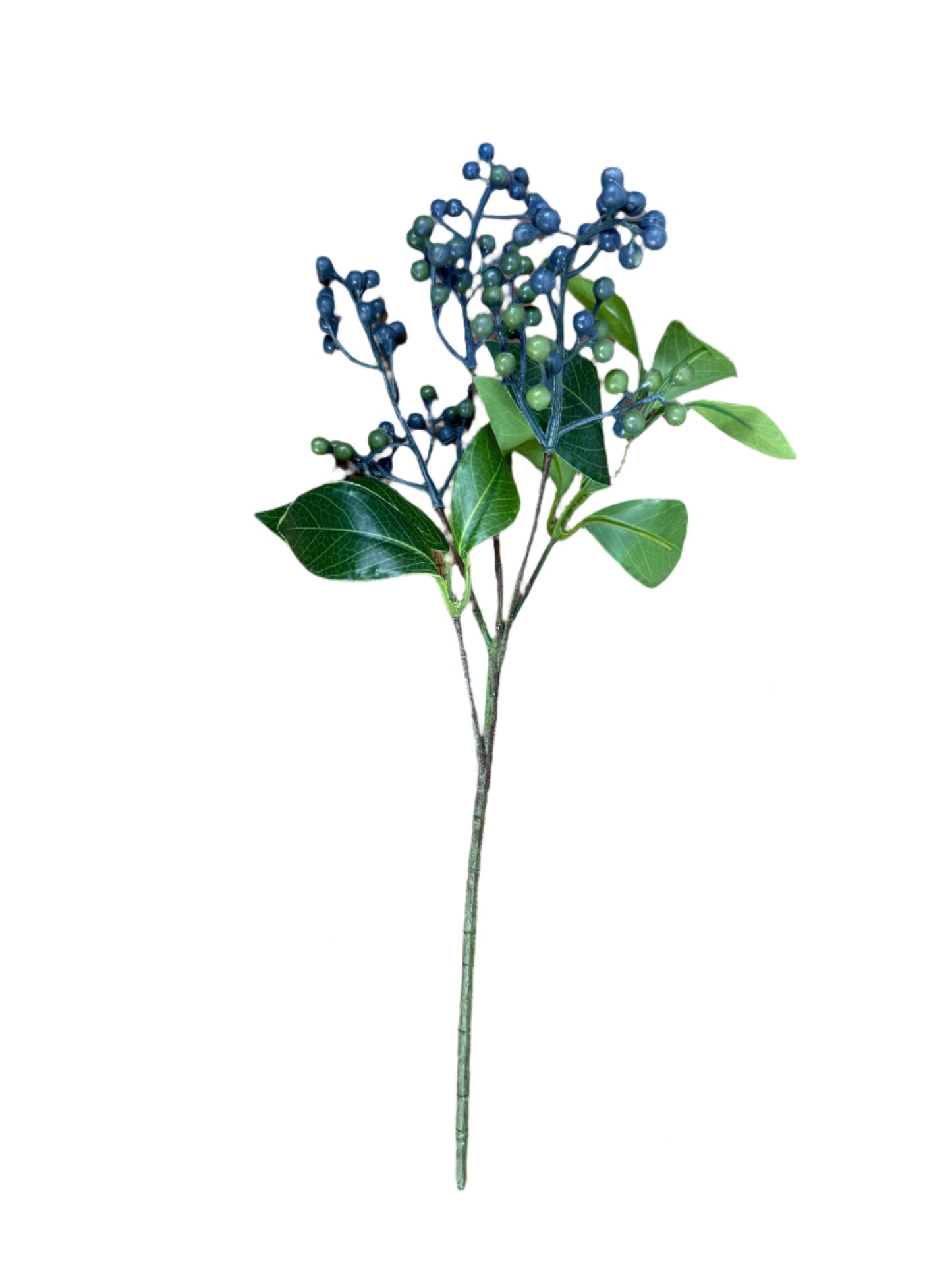 Berry and Eucalyptus Pick