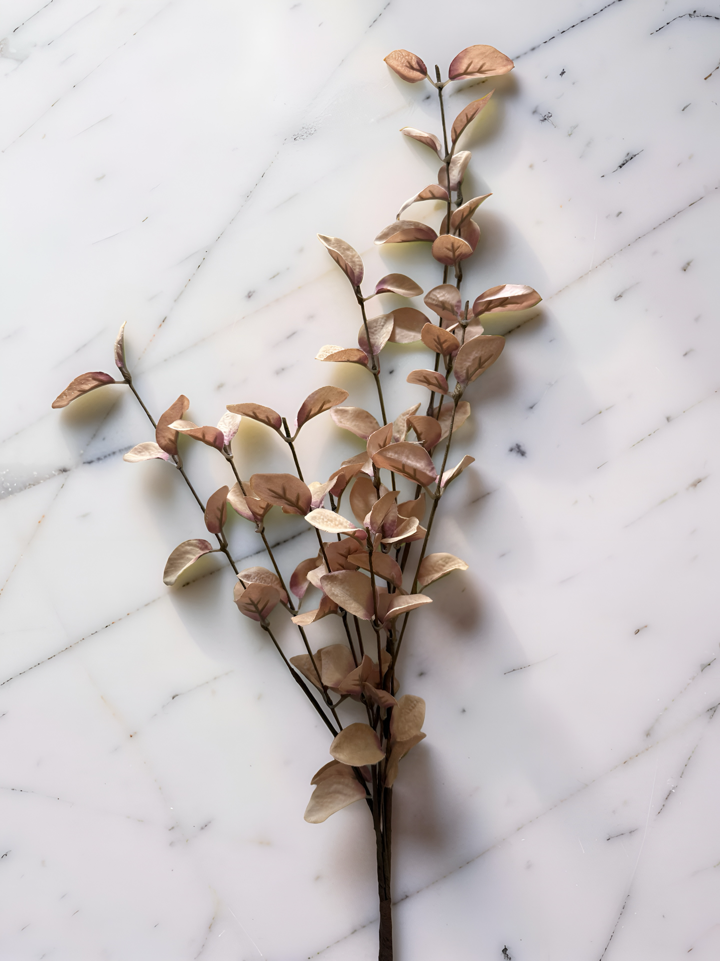 Beige Eucalyptus Stem- 34”L