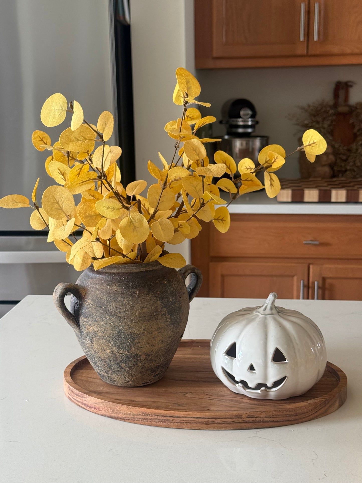 Jack o Lanten Bundle