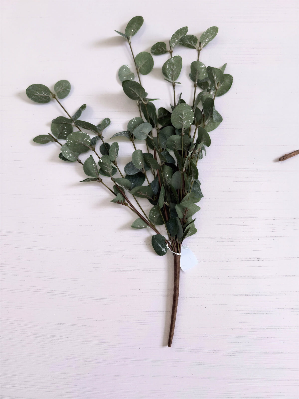 Glitter Euclayptus Stem