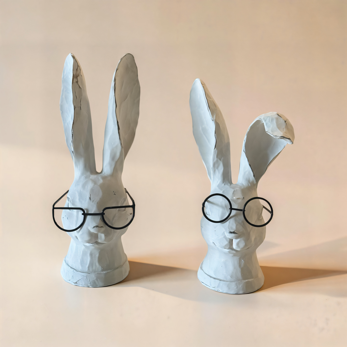 Rabbit with Glasses