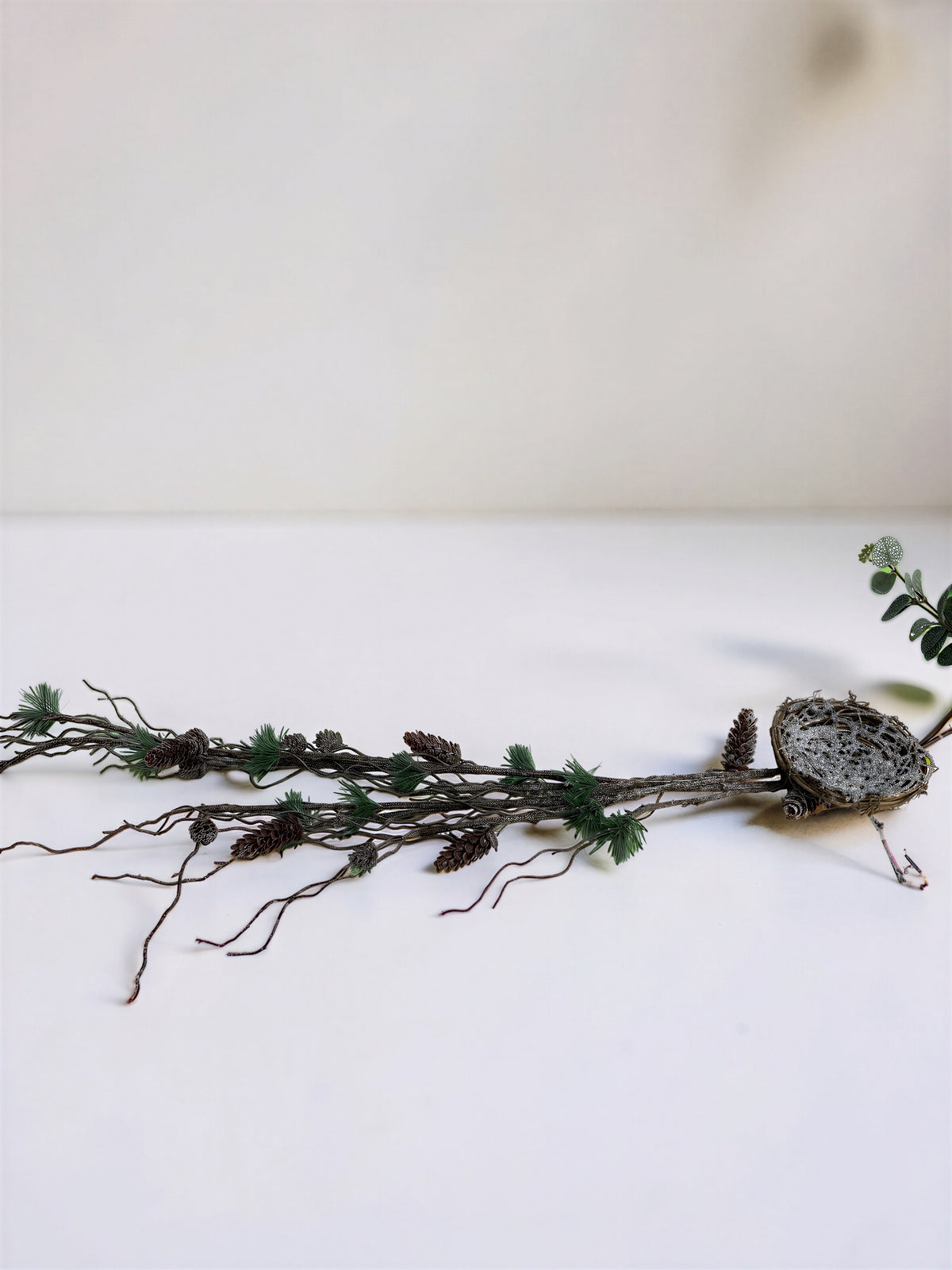 Bird Nest Stem
