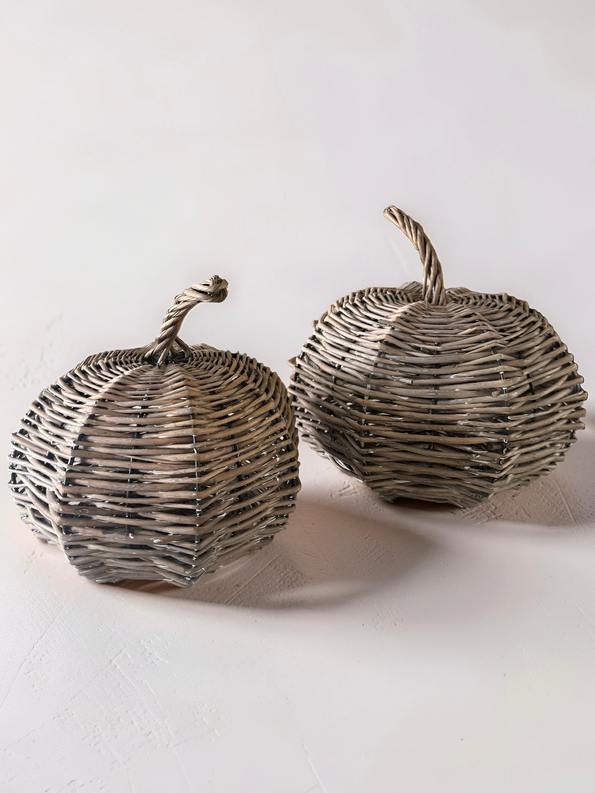 Fall Willow Pumpkin