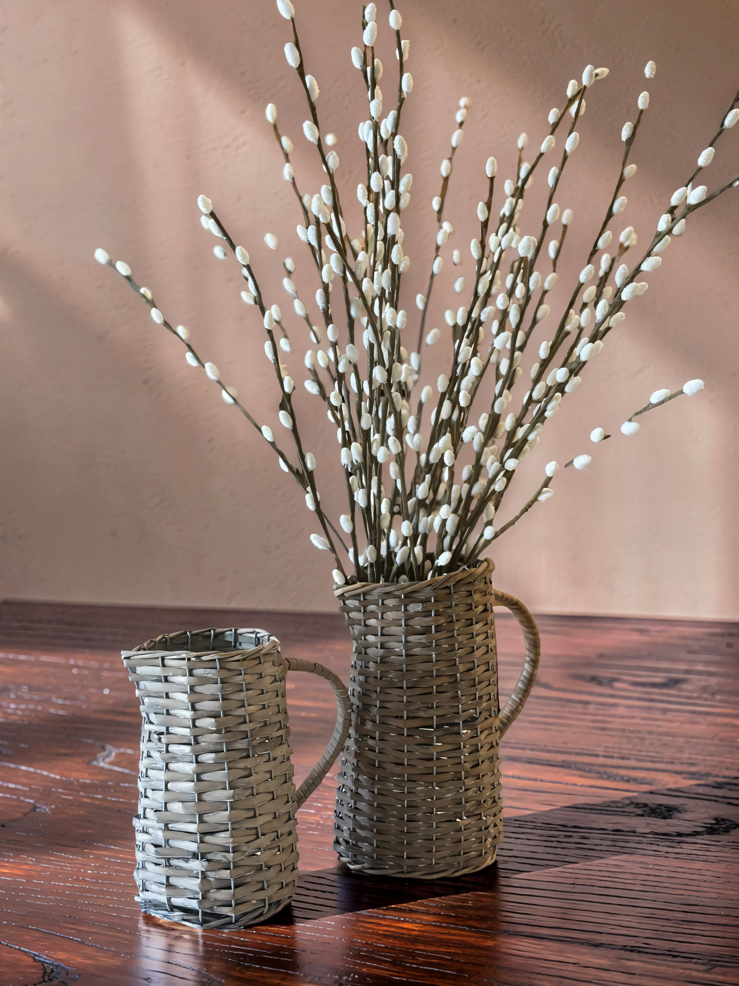 White Pussy Willow Branch