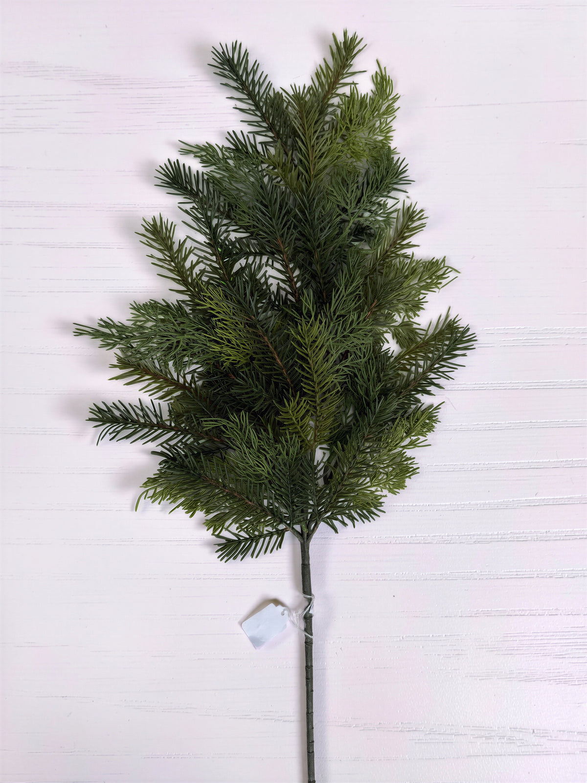 Pine Stem