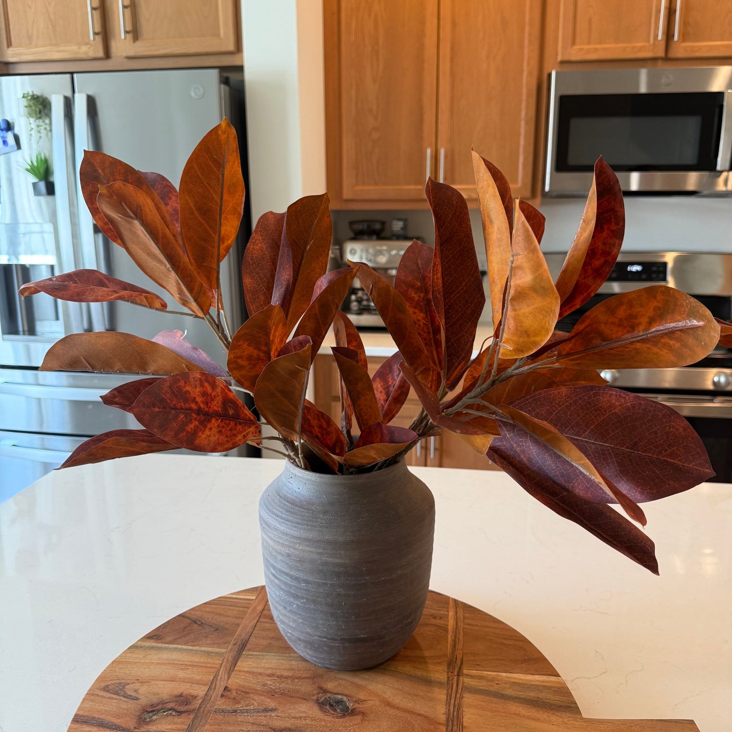 Catalpa Bush - Mahogany Haze