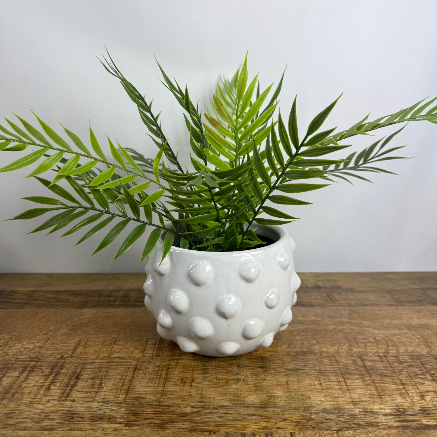 Terracotta Planter with Raised Dots