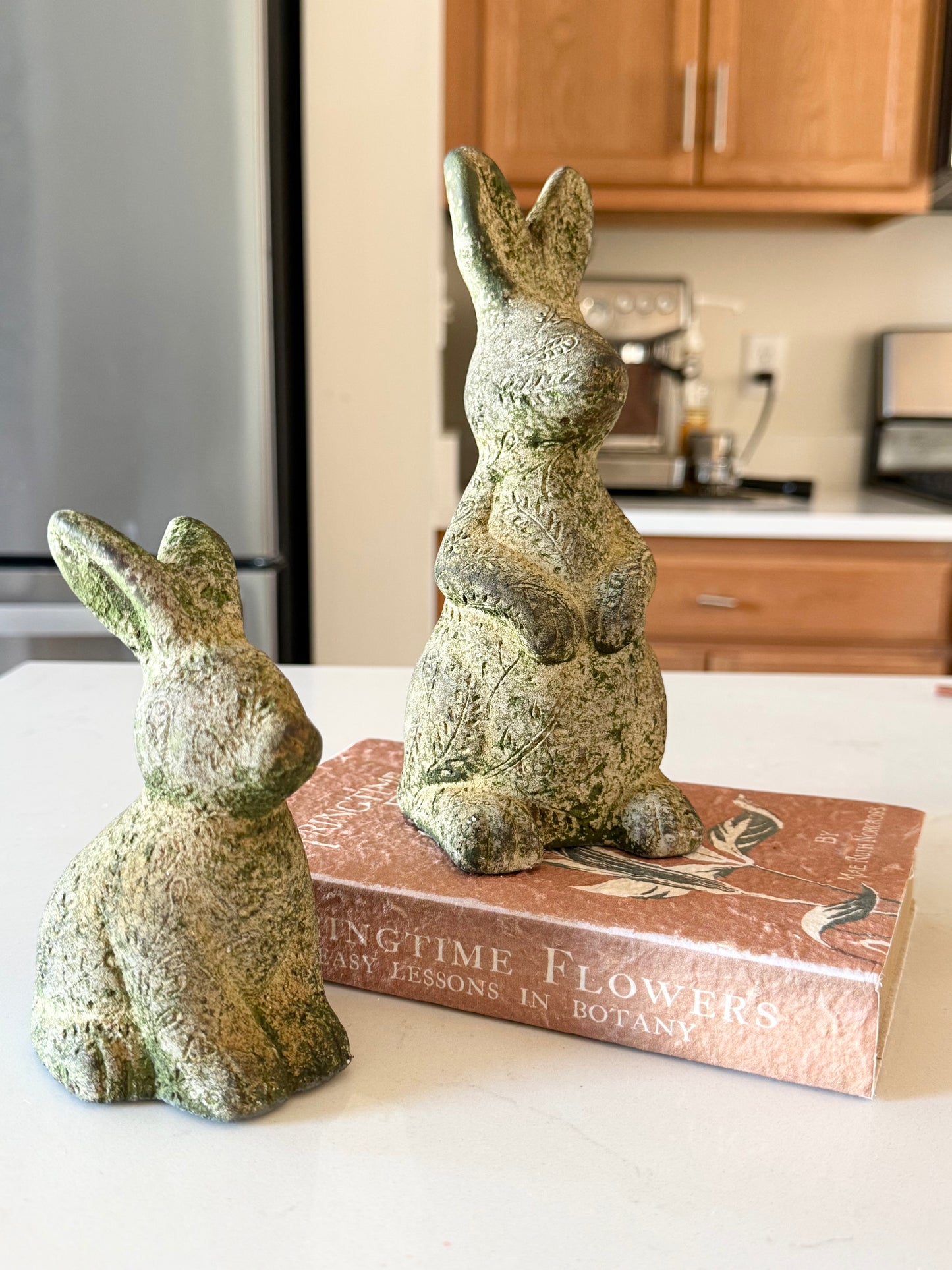 Tilly Rabbit Sitting