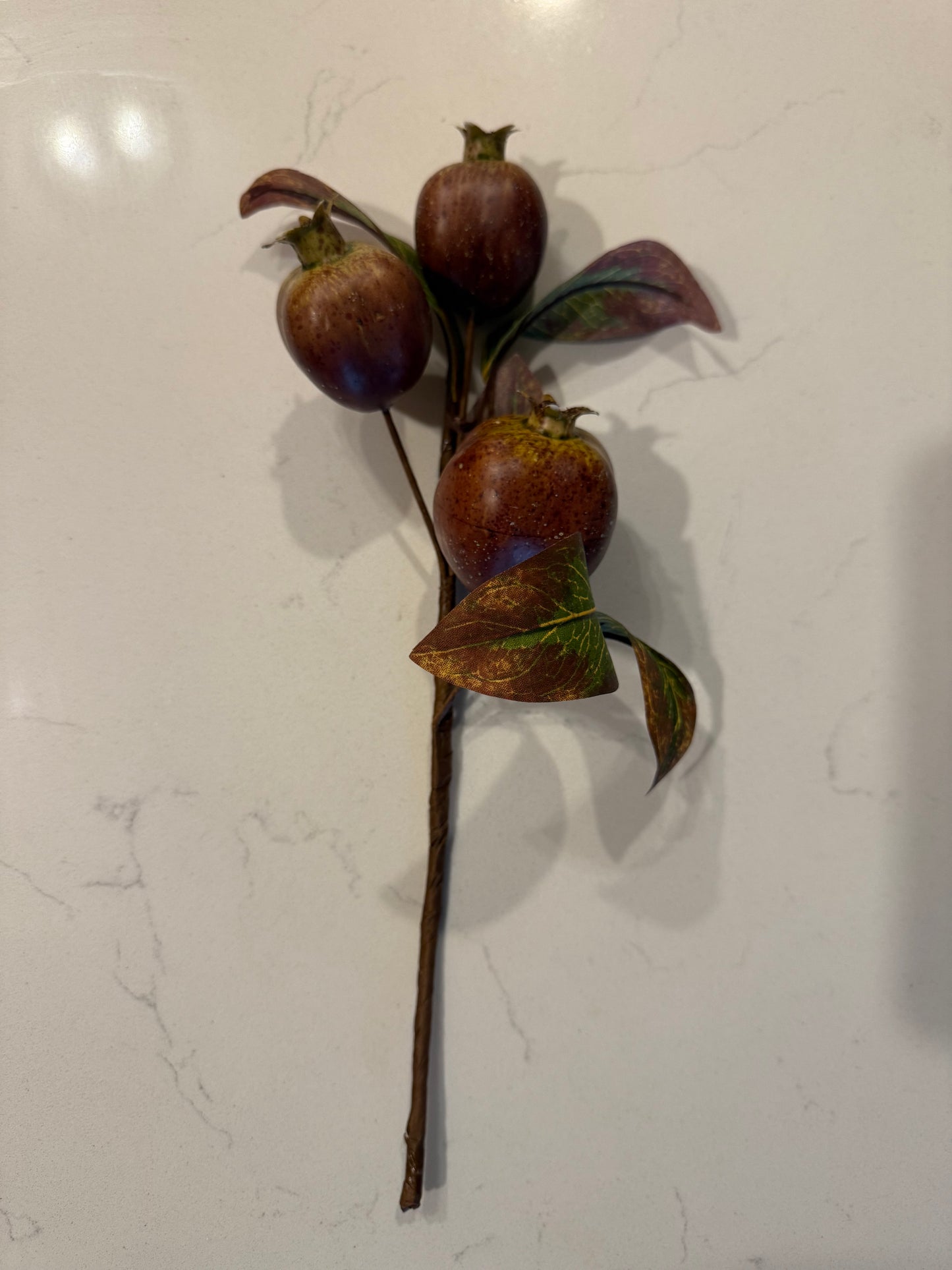 Speckled Pomegranate Stem