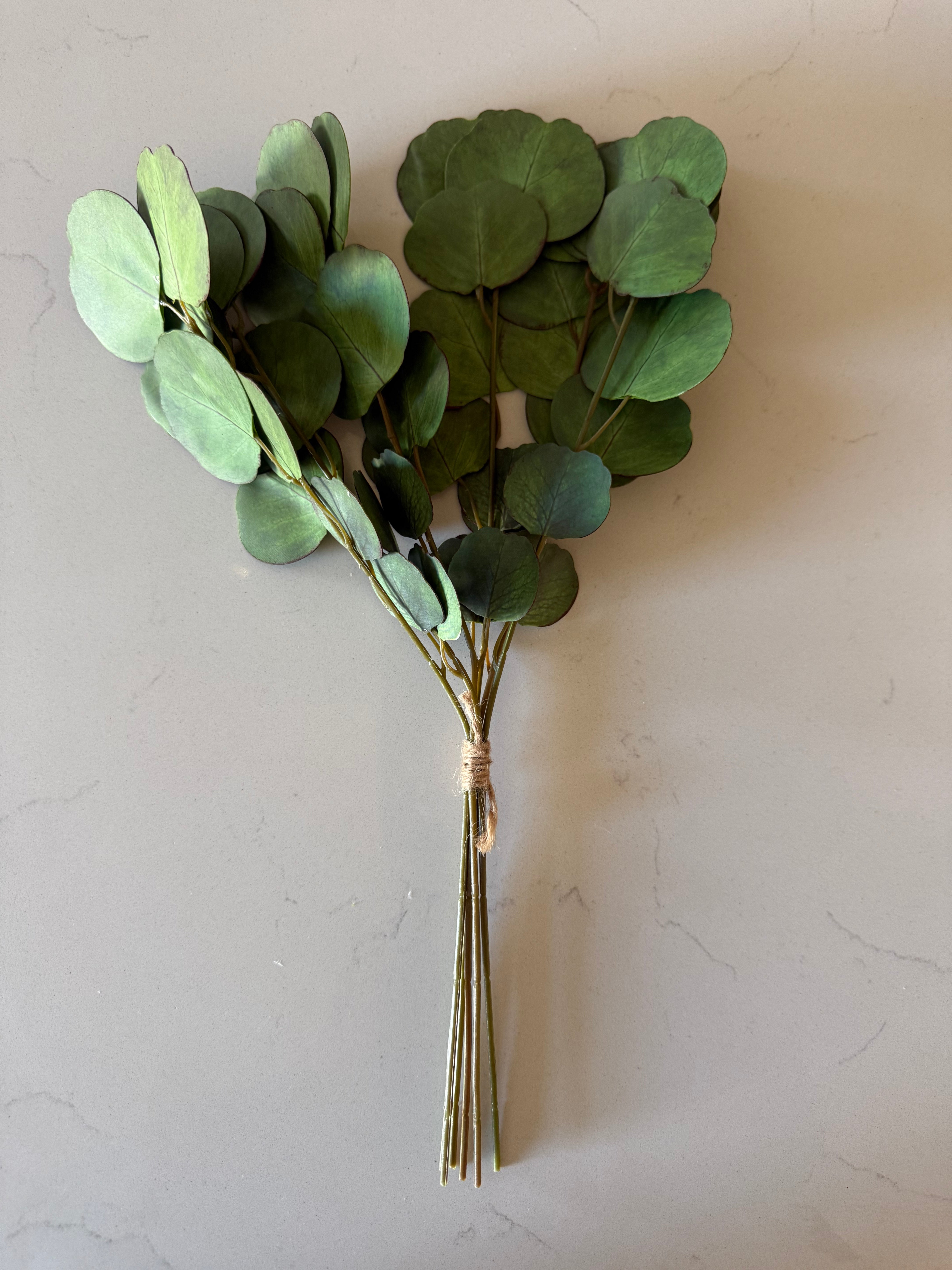 Eucalyptus Bundle -16'' – Home Decor with Michelle