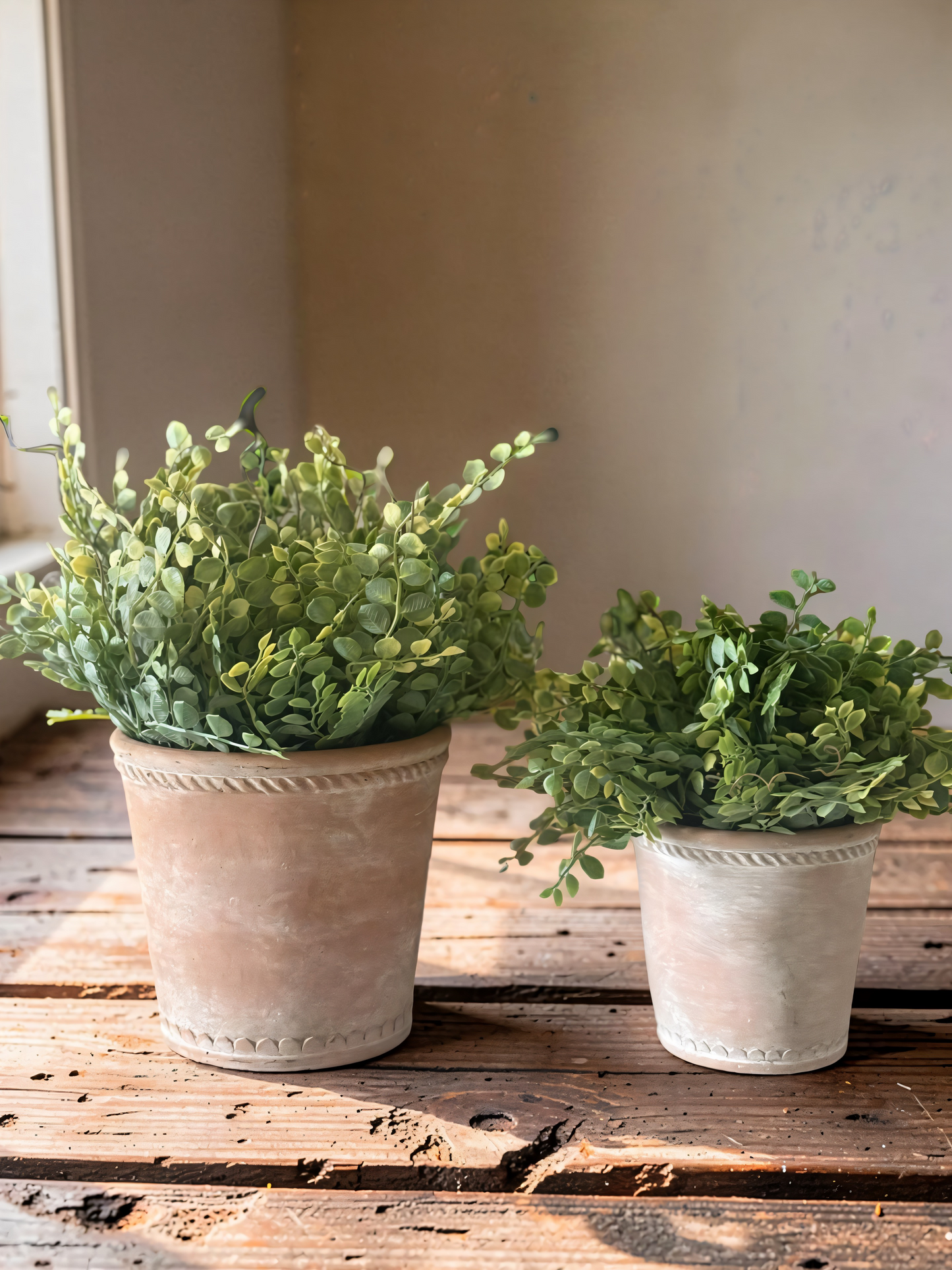 Terracotta Planters - Set of 2