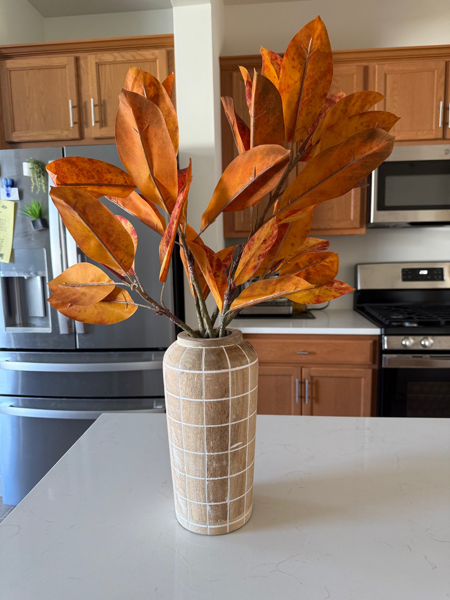 Catalpa Bush - Blaze