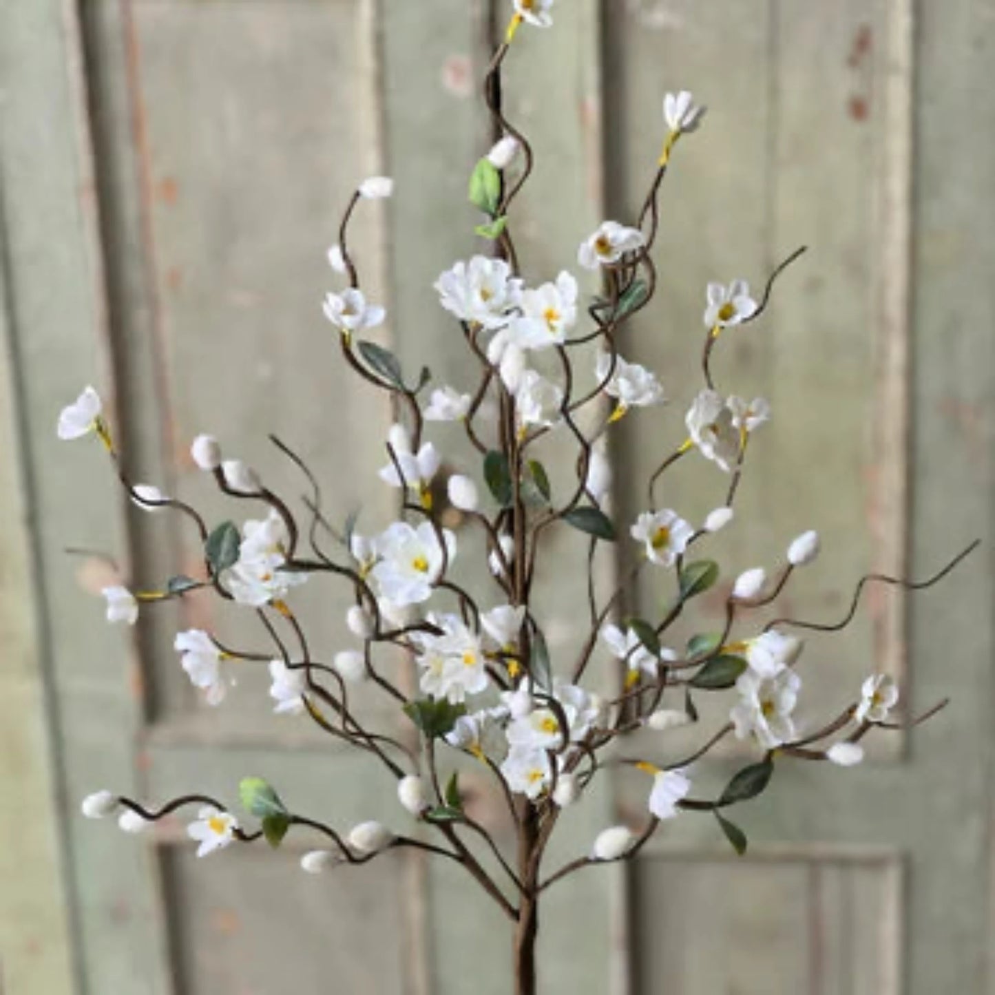Meandering Blooms Bush -21''