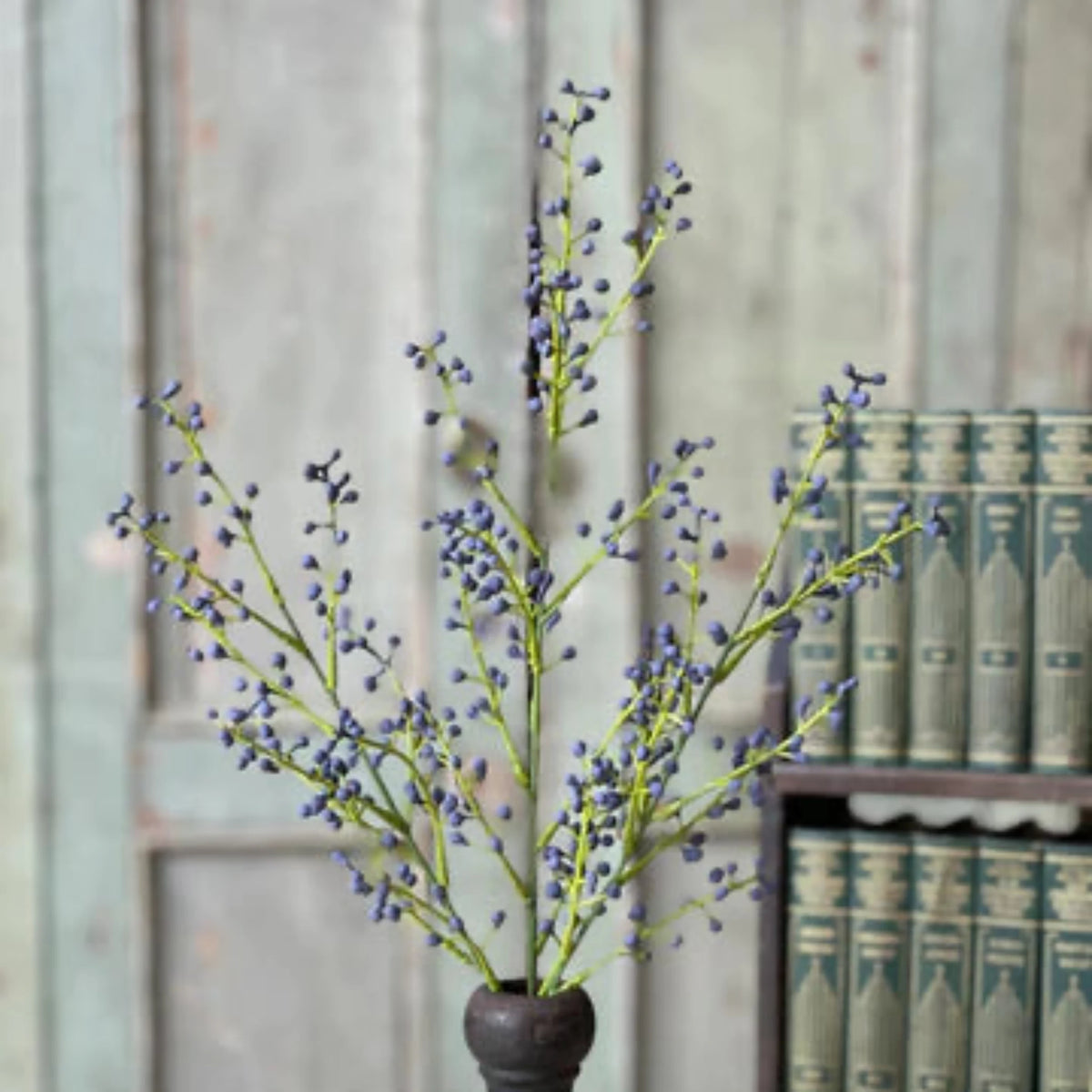 Nico Berry Bush