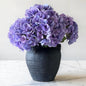 Two Season Bundle - Hydrangeas