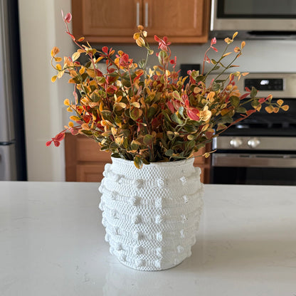 Red Pimpernel Bush