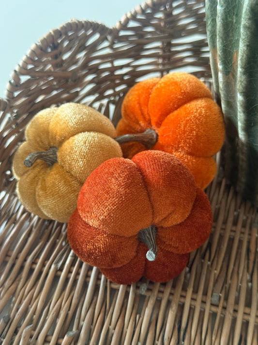 Velvet Pumpkins (bowl filler)