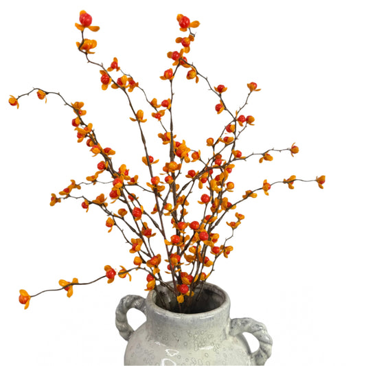 Bittersweet Bush