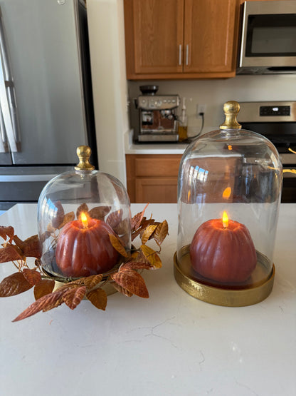 Glass Cloche with Gold Base -8”
