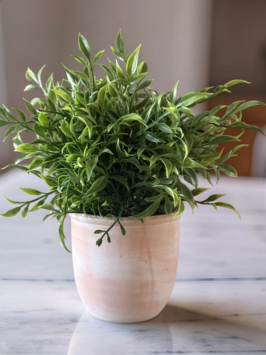 Herb Terracotta Pot