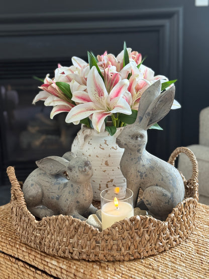 Distressed Gray Bunnies -