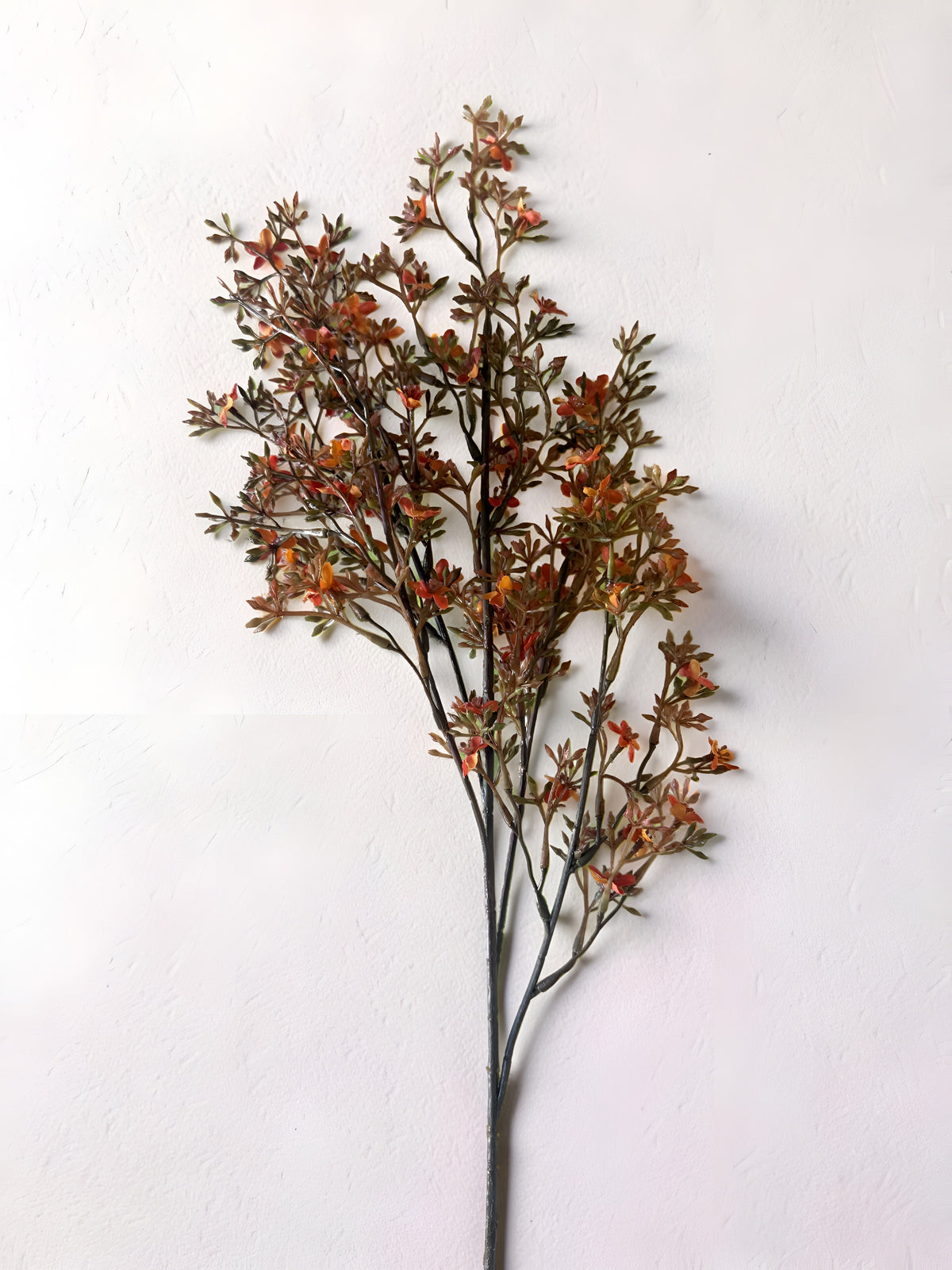 Meadowhue Blooms Stem
