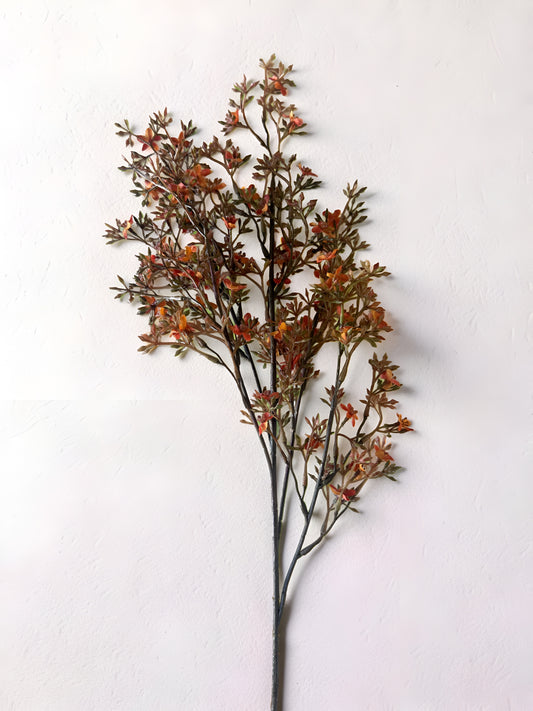Meadowhue Blooms Stem