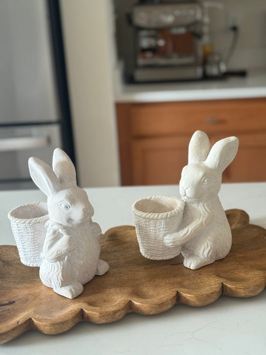 Cement Basket Bunnies