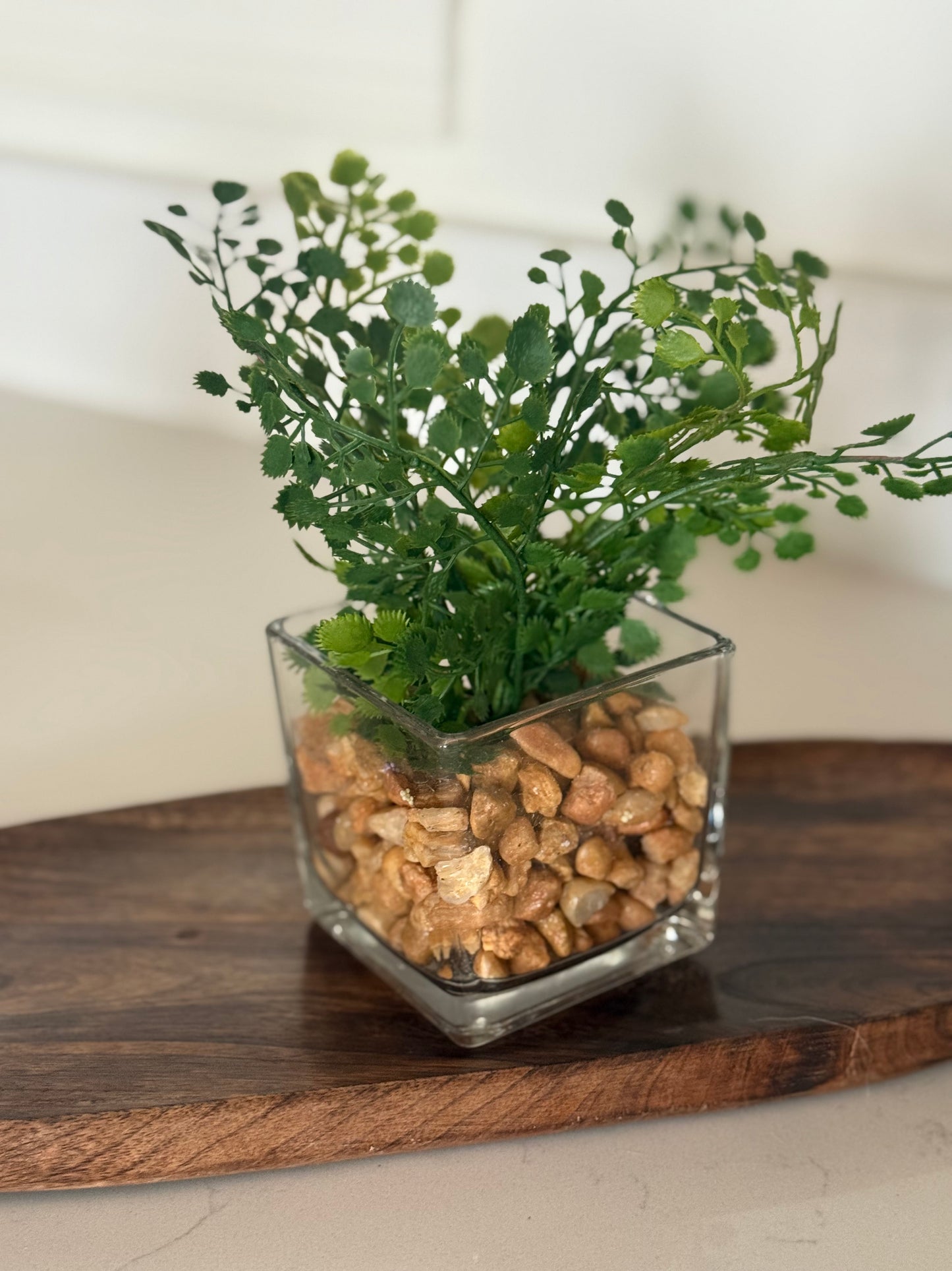 Fern in glass vase -