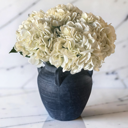 Two Season Bundle - Hydrangeas