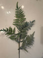 Real Touch Ostrich Fern Stem-40% OFF