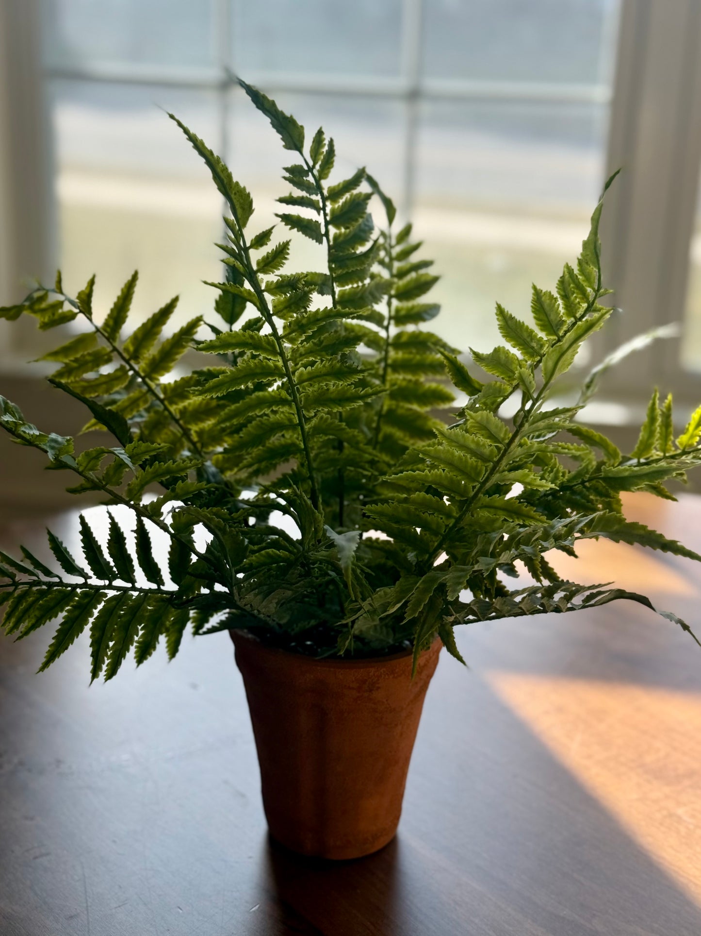 Fern In Pot-15”H
