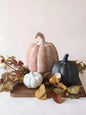 Pumpkin Bundle