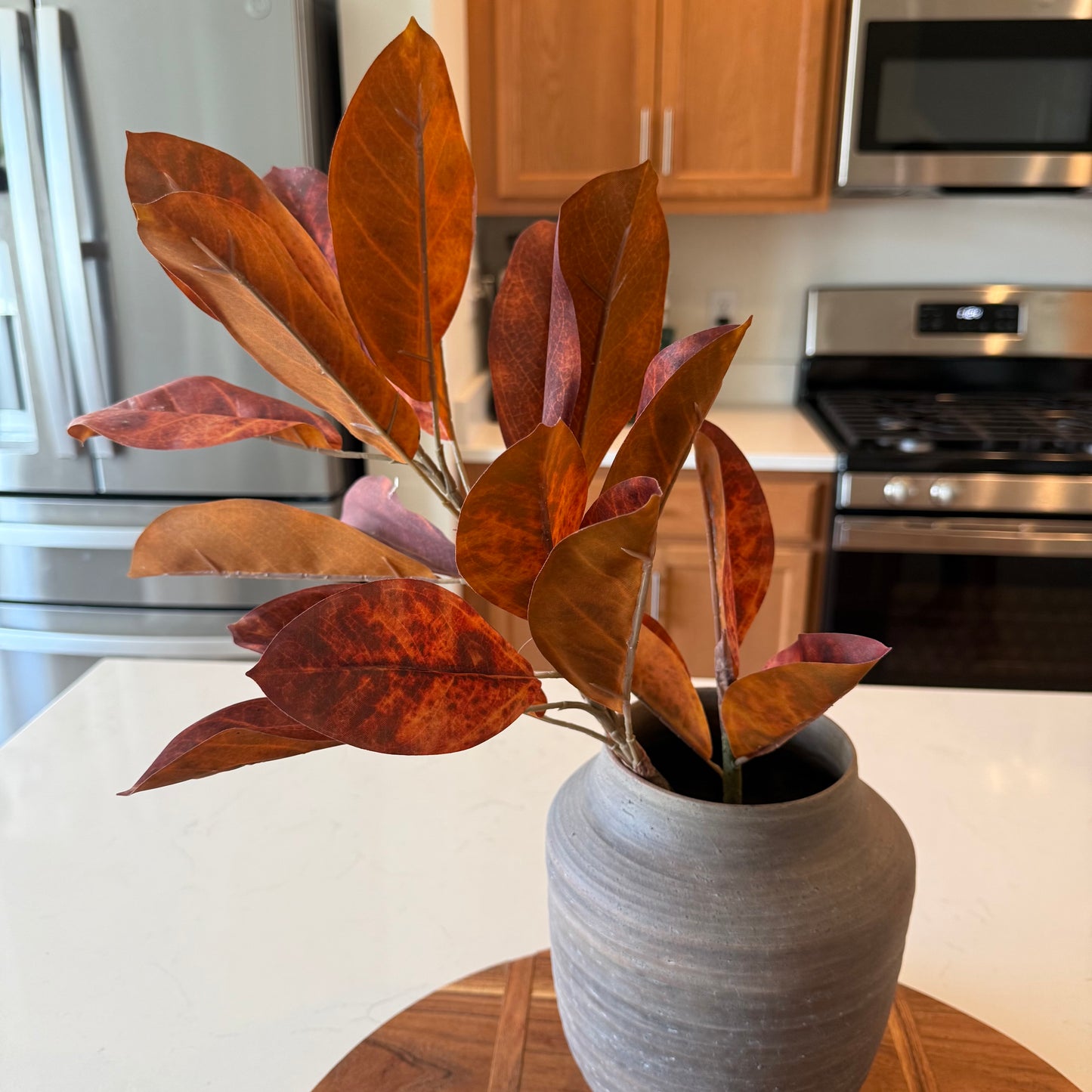 Catalpa Bush - Mahogany Haze