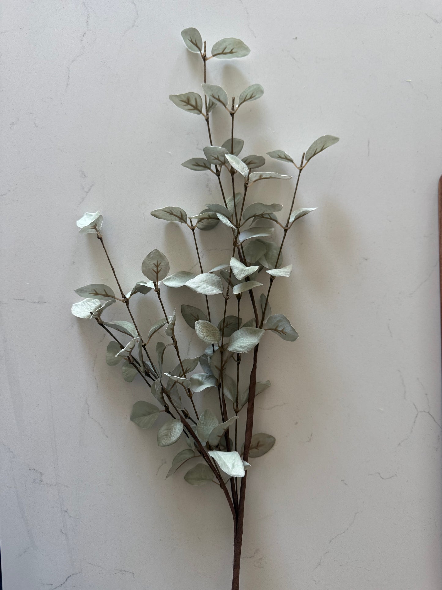 Light Green Eucalyptus Stem- 34”L