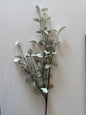 Light Green Eucalyptus Stem- 34”L