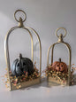 Pumpkin Lantern Bundle
