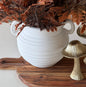 White Ceramic Vase -6''
