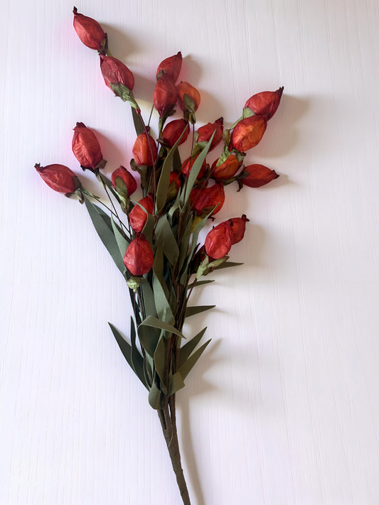 Lantern Bud Stems - Flame