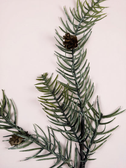 Pine Stem