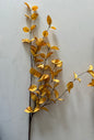 Light Yellow Eucalyptus Stem -34”L