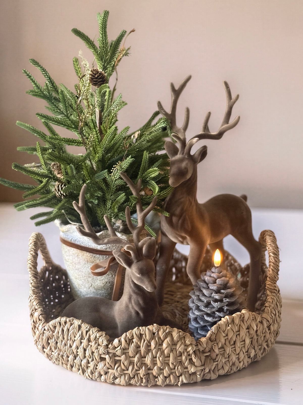 Woodland Bundle