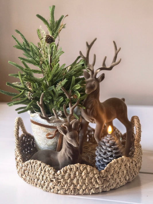 Woodland Bundle